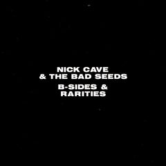 ニック・ケイヴ | B-Sides &amp; Rarities (w/ The Bad Seeds) | アルバム