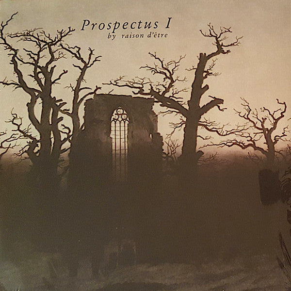 Raison d'Etre | Prospectus 1 (Redux) | Album-Vinyl
