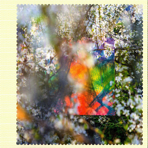 Four Tet | Sixteen Oceans | Album-Vinyl