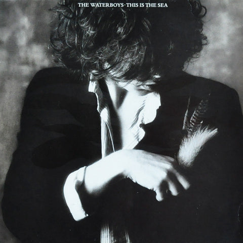 The Waterboys | This is The Sea | Album-Vinyl