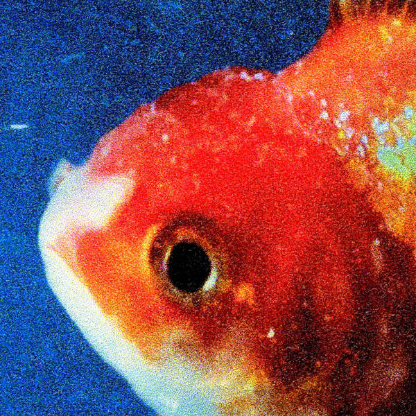 Vince Staples | Big Fish Theory | Album-Vinyl