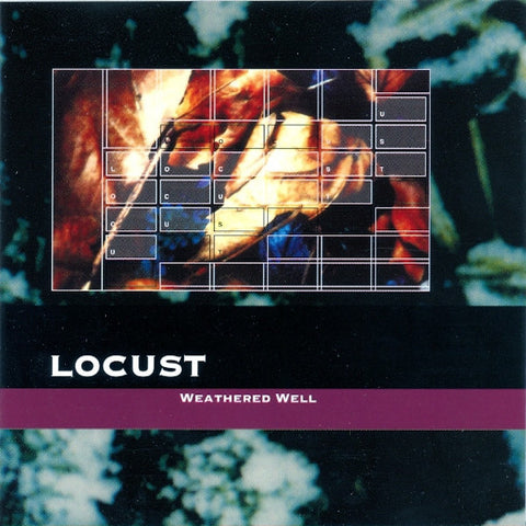 Mark Van Hoen | Weathered Well (w/ Locust) | Album-Vinyl