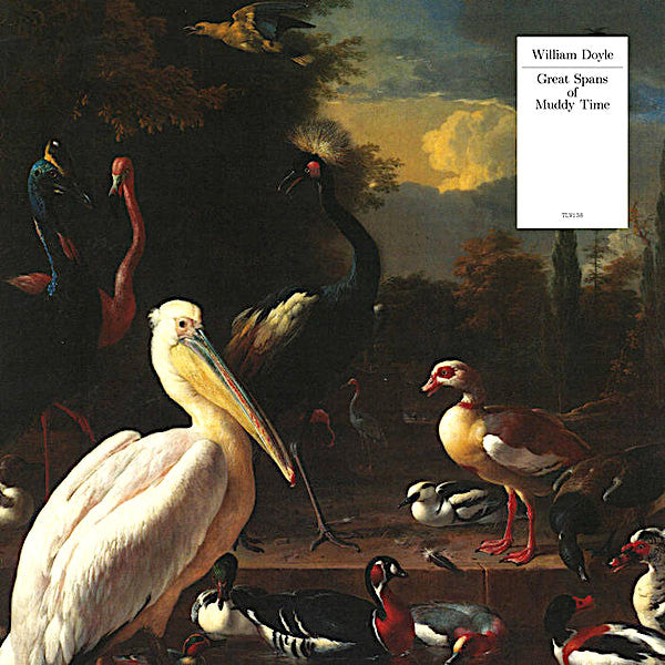 William Doyle | Great Spans of Muddy Time | Album-Vinyl