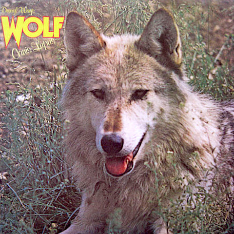 Darryl Way's Wolf | Canis Lupus | Album-Vinyl