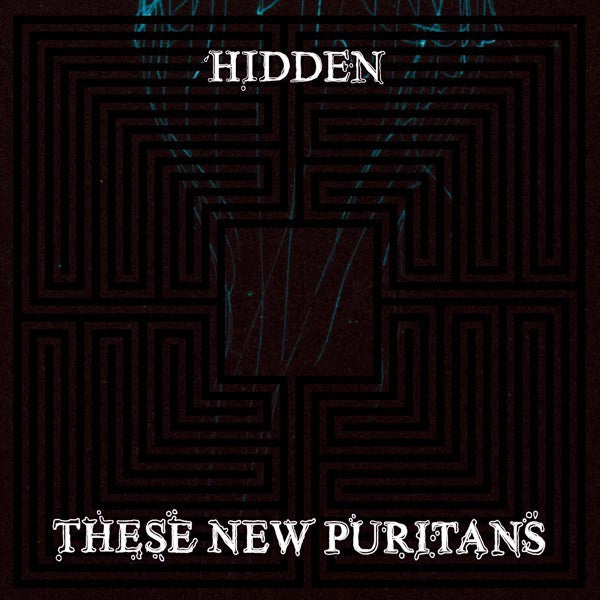 These New Puritans | Hidden | Album-Vinyl