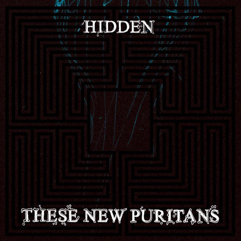 These New Puritans | Hidden | Album-Vinyl