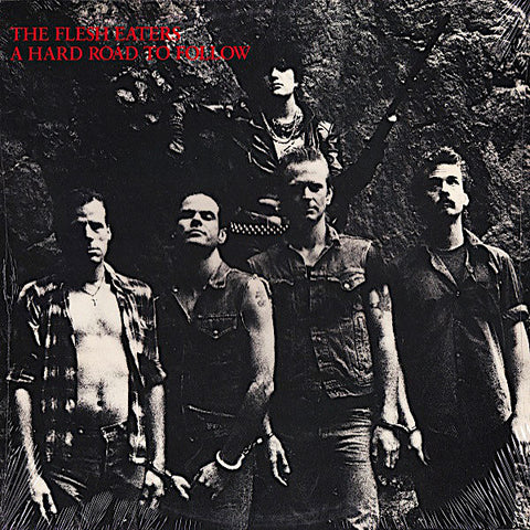 The Flesh Eaters | A Hard Road to Follow | Album-Vinyl