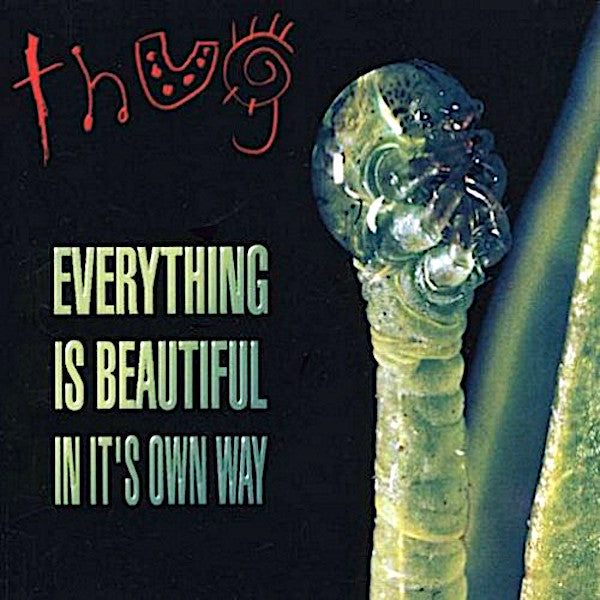 Thug | Everything Is Beautiful In It's Own Way (Comp.) | Album-Vinyl