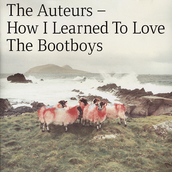 The Auteurs | How I Learned to Love the Bootboys | Album-Vinyl