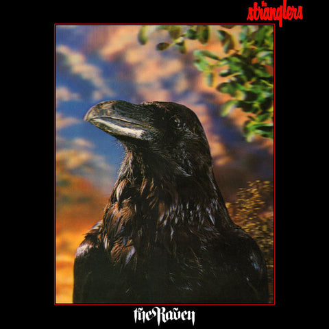 The Stranglers | The Raven | Album-Vinyl