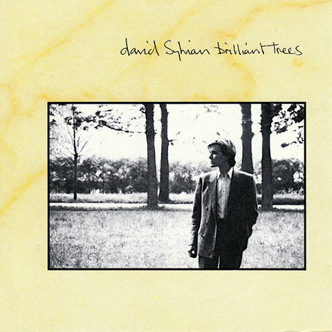 David Sylvian | Brilliant Trees | Album-Vinyl