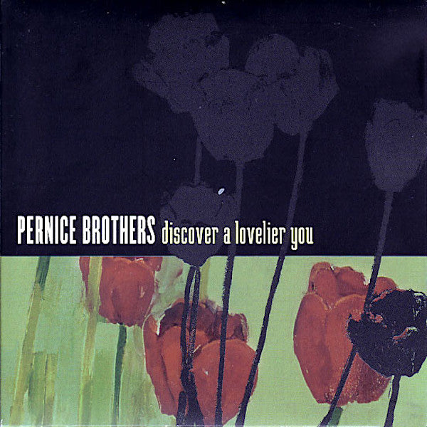 Pernice Brothers | Discover a Lovelier You | Album-Vinyl