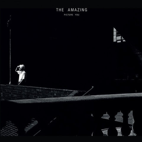 The Amazing | Picture You | Album-Vinyl