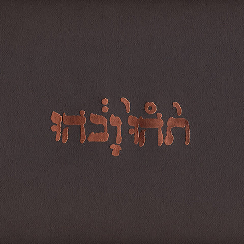 Godspeed You! Black Emperor | Slow Riot for New Zero Kanada (EP) | Album-Vinyl