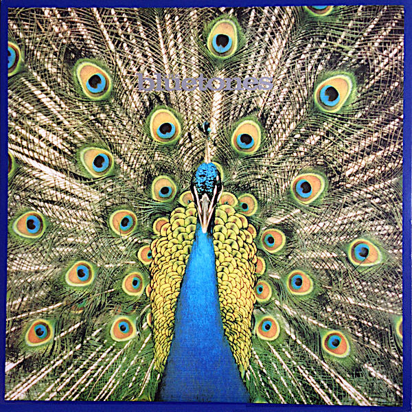 The Bluetones | Expecting to Fly | Album-Vinyl