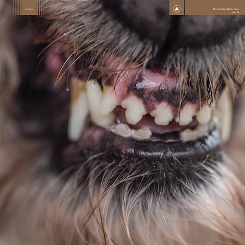 Blanck Mass | World Eater | Album-Vinyl