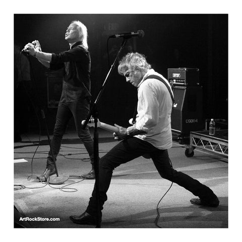 Radio Birdman | Artist