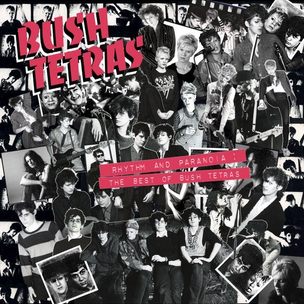 Bush Tetras | Rhythm and Paranoia - The Best of Bush Tetras (Comp.) | Album-Vinyl