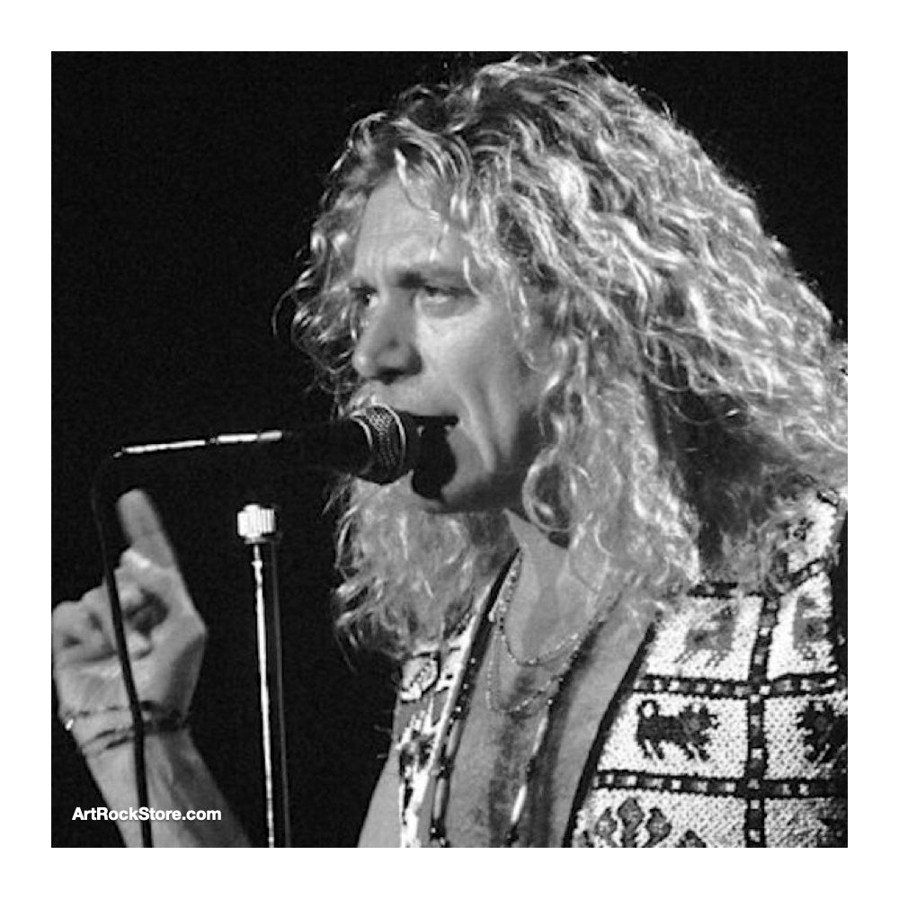 Robert Plant | Artist