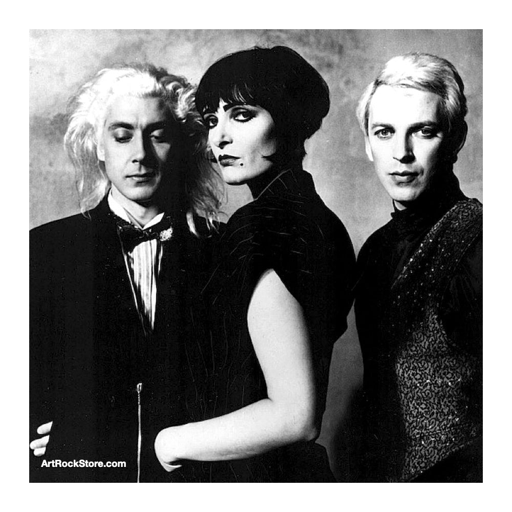 Siouxsie & the Banshees | Artist