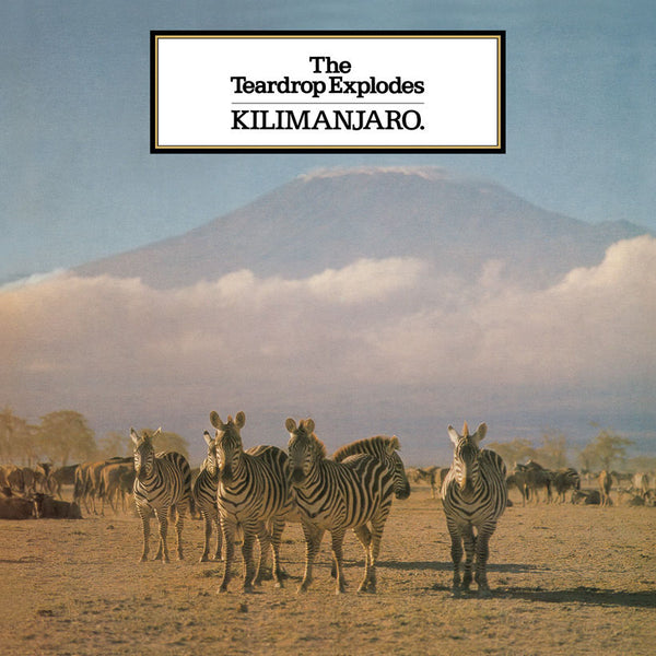 The Teardrop Explodes | Kilimanjaro | Album-Vinyl