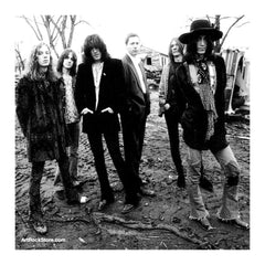 The Black Crowes |  Artist