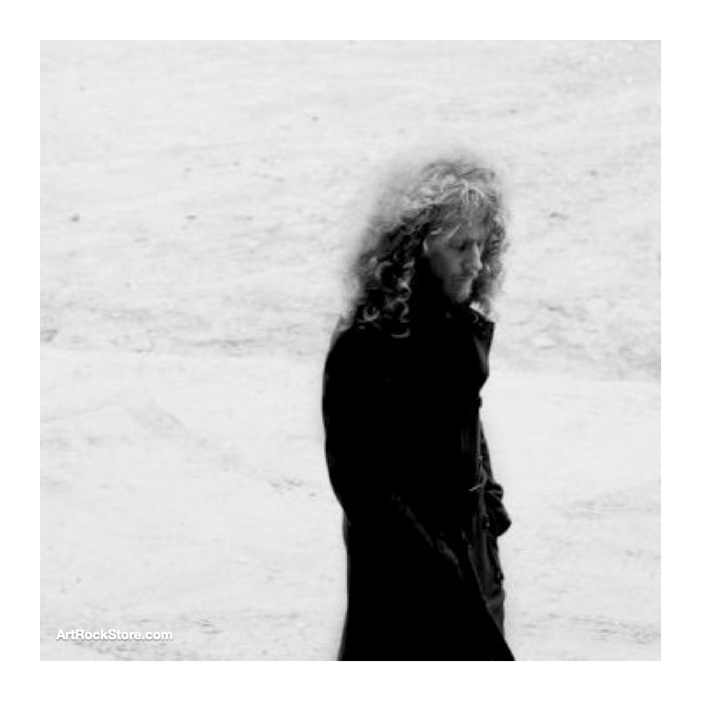 The Caretakerレコード 森と記録の音楽: [912] The Caretaker - An Empty Bliss Beyond