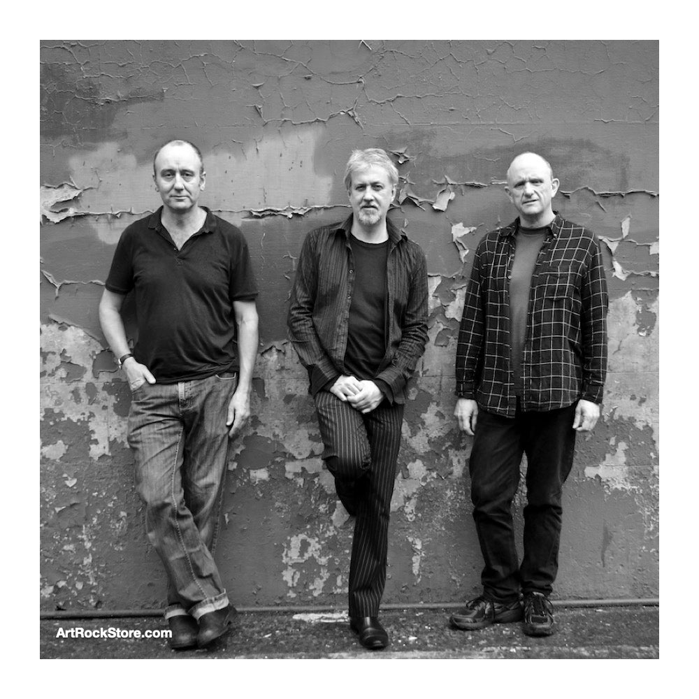 The Necks | Artist