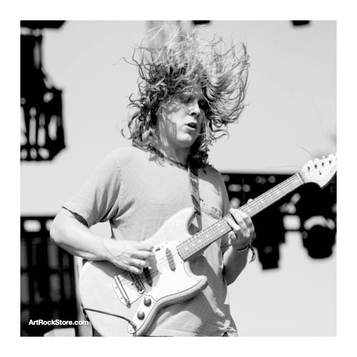 Ty Segall | Artist