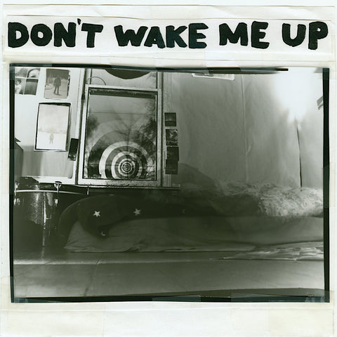 The Microphones | Don't Wake Me Up | Album-Vinyl