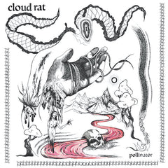 Rat des nuages ​​| Pollinisateur | Album