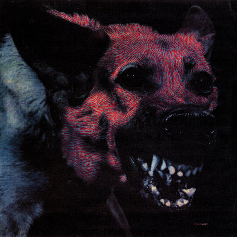 Protomartyr | Under Color of Official Right | Album-Vinyl