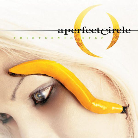A Perfect Circle | Thirteenth Step | Album-Vinyl