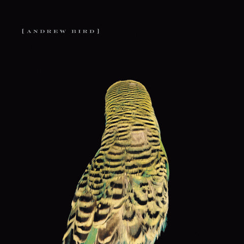 Andrew Bird | Armchair Apocrypha | Album-Vinyl