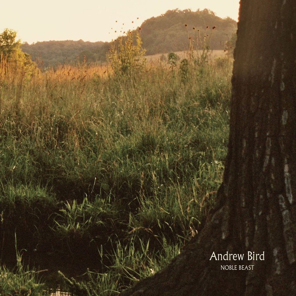 Andrew Bird | Noble Beast | Album-Vinyl