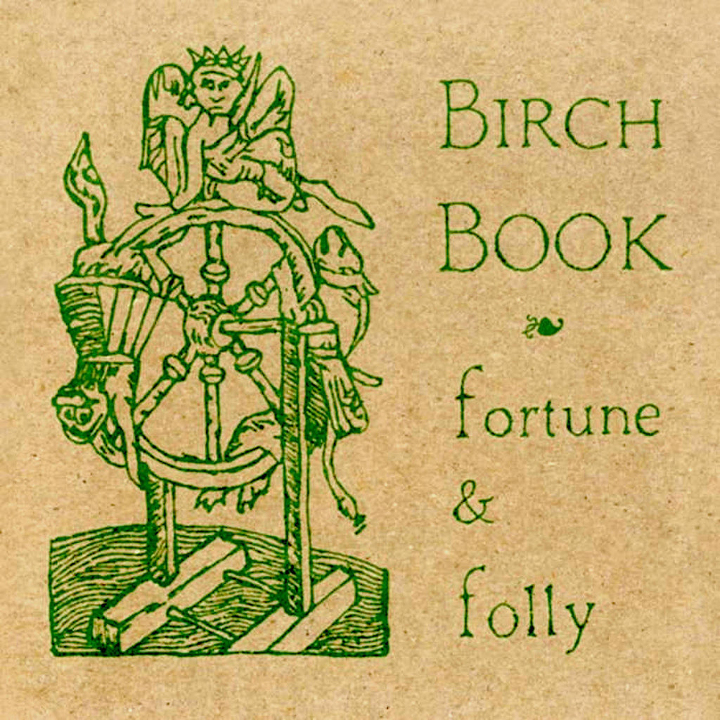 Birch Book | Fortune & Folly | Album-Vinyl