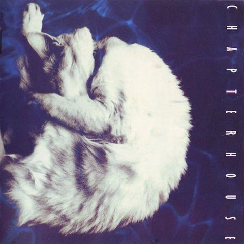Chapterhouse | Whirlpool | Album-Vinyl