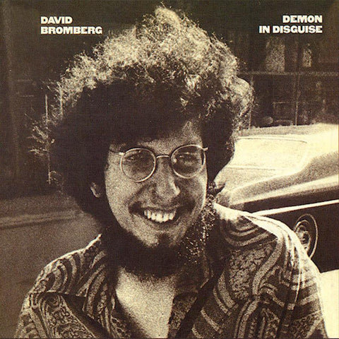 David Bromberg | Demon in Disguise | Album-Vinyl