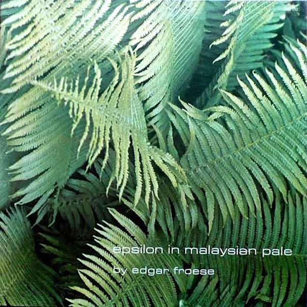 エドガーフローゼ　イプシロン・イン・マレーシアン・ペール2004 Epsilon in Malaysian Pale - Amazon.com Music