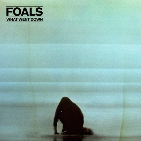 Foals | What Went Down | Album-Vinyl