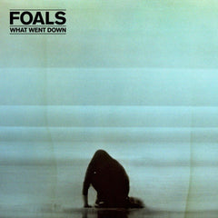 Foals | What Went Down | Album