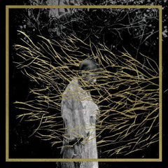 Forest Swords | Engravings | Album