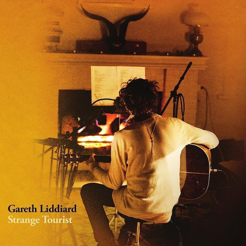 Gareth Liddiard | Strange Tourist | Album-Vinyl
