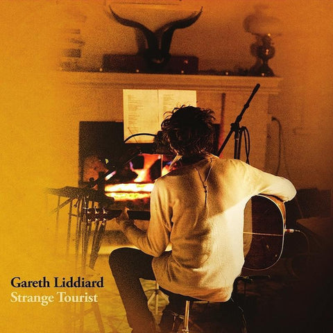 Gareth Liddiard | Strange Tourist | Album-Vinyl
