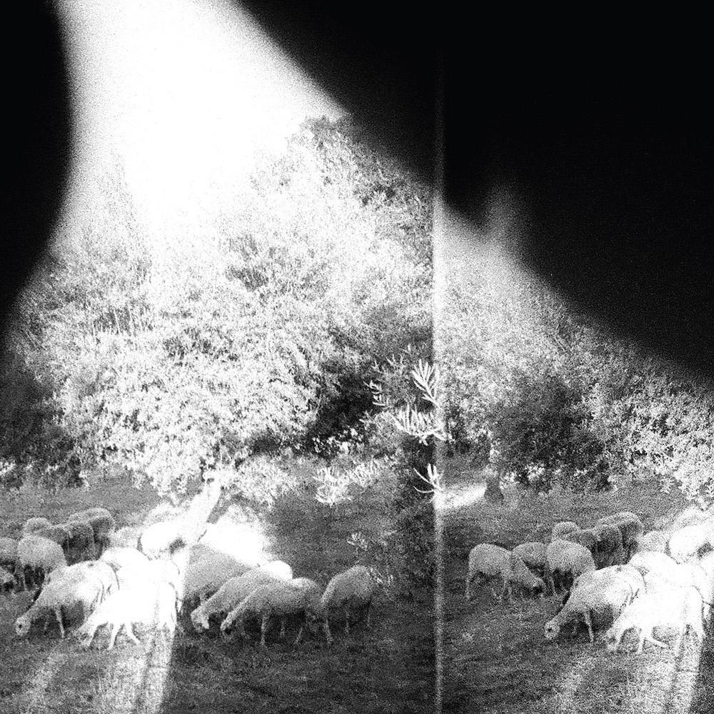 Godspeed You! Black Emperor | 'Asunder, Sweet and Other Distress' | Album-Vinyl