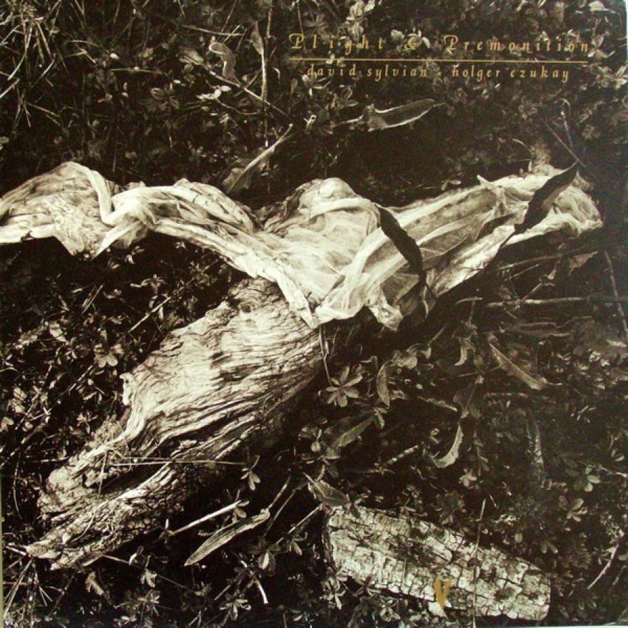 Holger Czukay | Plight & Premonition (w/ David Sylvian) | Album-Vinyl