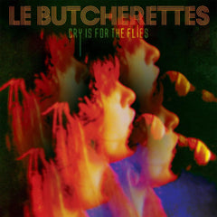 Les Butcherettes | Le cri est pour les mouches | Album