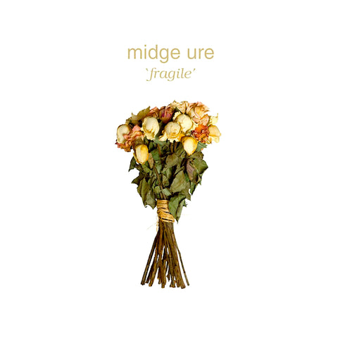 Midge Ure | Fragile | Album-Vinyl