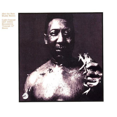 Muddy Waters | After the Rain | Album-Vinyl
