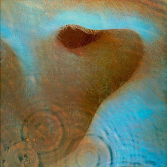 Pink Floyd | Meddle | Album